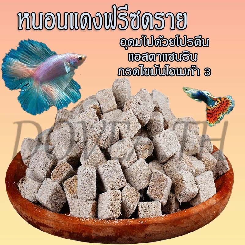 หนอนแดงฟรีซดราย อาหารปลาแห้ง หนอนอบแห้ง Freeze Dried อาหารลูกปลาทอง ปลากัด ปลาหางนกยูง ปลาบอลลูน