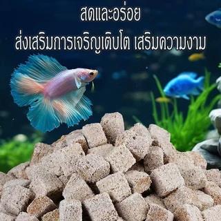 หนอนแดงฟรีซดราย อาหารปลาแห้ง หนอนอบแห้ง Freeze Dried อาหารลูกปลาทอง ปลากัด ปลาหางนกยูง ปลาบอลลูน