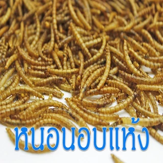 หนอนแดงฟรีซดราย อาหารปลาแห้ง หนอนอบแห้ง Freeze Dried อาหารลูกปลาทอง ปลากัด ปลาหางนกยูง ปลาบอลลูน