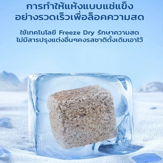 หนอนแดงฟรีซดราย อาหารปลาแห้ง หนอนอบแห้ง Freeze Dried อาหารลูกปลาทอง ปลากัด ปลาหางนกยูง ปลาบอลลูน