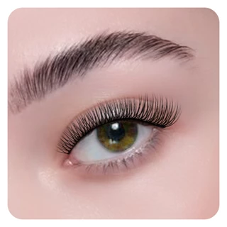 ANNAFRIS U รูปร่าง YY ขนตาปลอมเคล็ดลับคู่ 2D YY ขนตาธรรมชาตินุ่ม Hand-wowen Premade พัดลม Lashes