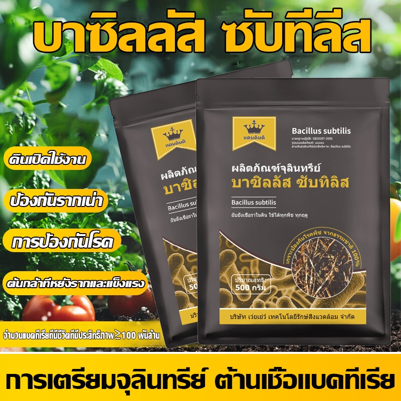 กัปตัน บีเอส บาซิลลัส ซับทีลีส BS แบบผง Bacillus subtilis กำจัดควบคุมโรคพืช  รากเน่า โรคจุด โรคสีเทา ราคาถูก Shopee Lazada