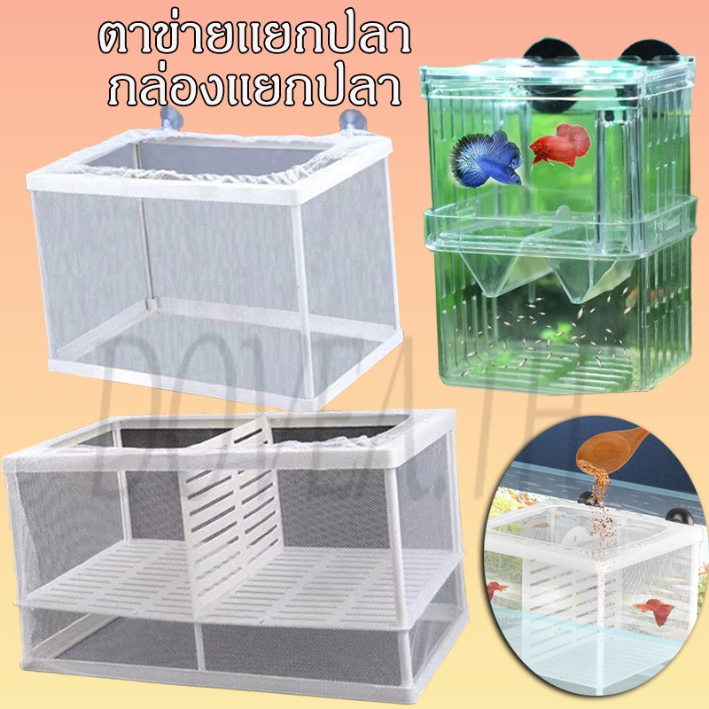 ตาข่ายเเยกปลา กล่องเเยกปลา กุ้ง สัตว์น้ำขนาดเล็ก ฟักไข่ปลา กล่องฟักปลา อะคริลิค สําหรับตู้ปลา