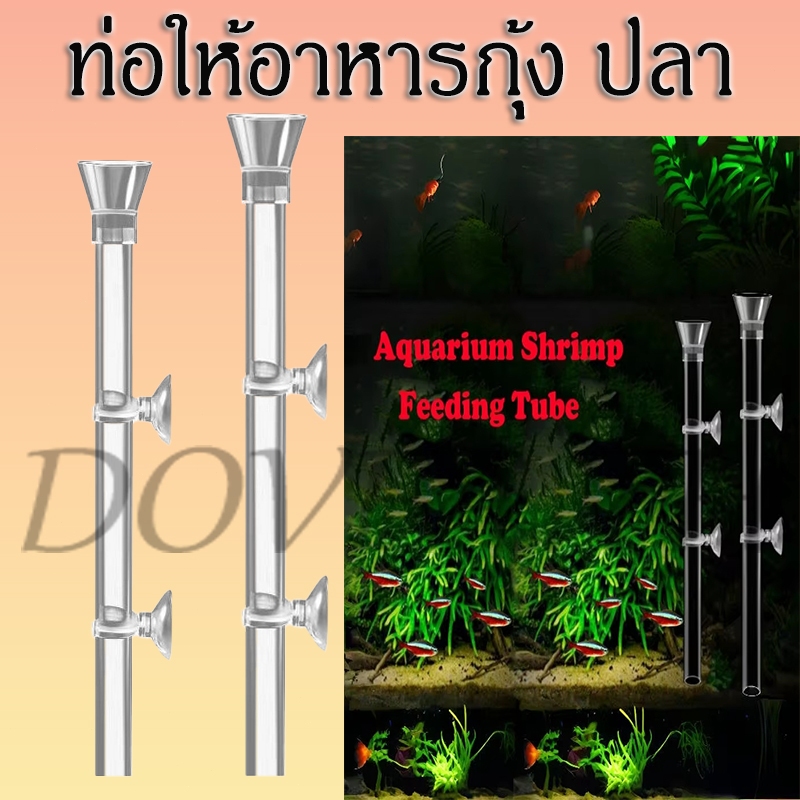 ท่อให้อาหารกุ้ง อาหารปลา หลอดให้อาหาร ที่ให้อาหาร จานให้อาหาร Shrimp Feeding Food Tube Suction Cup