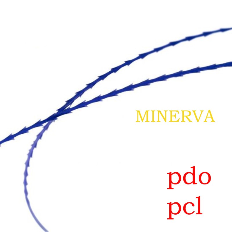 SKY-3 pdo Volt Lamp 9w 300 0K1.6x60cm ไฟฉายสีทอง*20 ชิ้นต่อแพ็ค