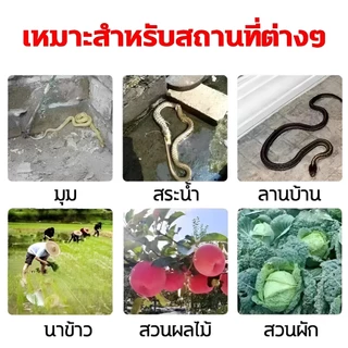 10 ปี ไร้งู กันงู ก้อนไล่งู กํามะถัน เม็ดไล่งู แถมถุงตาข่าย 10 ใบ สารไล่งู ยาไล่งู กําจัดงู