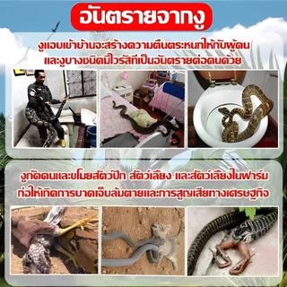 10 ปี ไร้งู กันงู ก้อนไล่งู กํามะถัน เม็ดไล่งู แถมถุงตาข่าย 10 ใบ สารไล่งู ยาไล่งู กําจัดงู