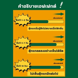 🦎ตุ๊กแกออกเดินทาง🦎 UM ยาไล่ตุ๊กแก ไล่ตุ๊กแก ปลอดสารพิษและมีประสิทธิภาพสูง ยาไล่จิ้งจก จิ้งจก