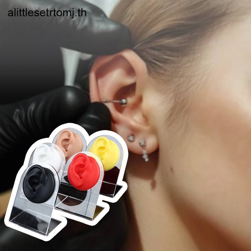 【alittlesetrtomj】โมเดลซิลิโคน พร้อมขาตั้งอะคริลิค สําหรับฝึกเจาะหู
