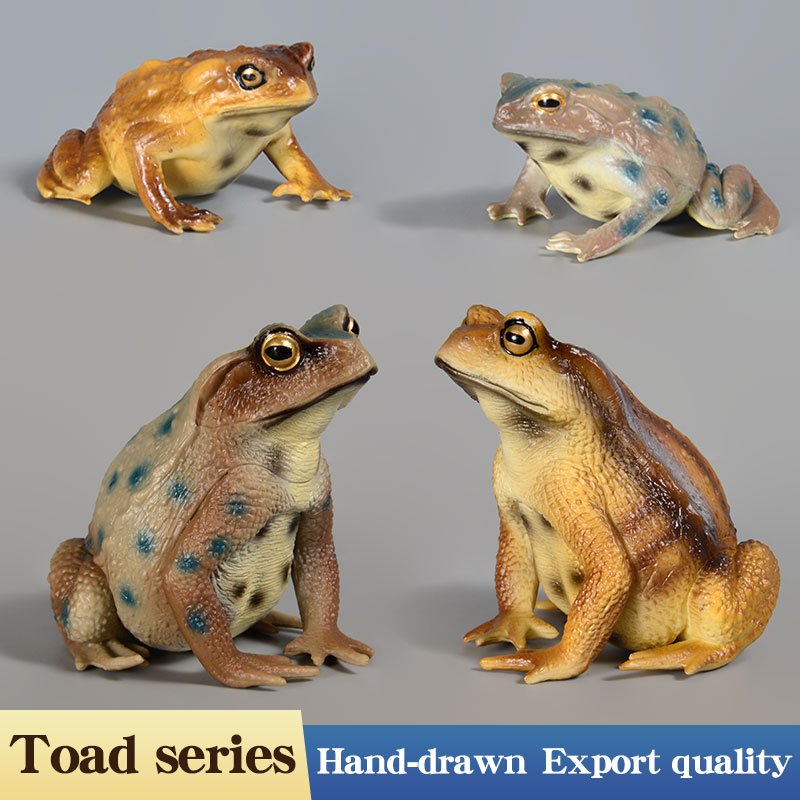 จําลองคางคกต้นไม้กบโมเดลของเล่นรูปสมจริง Bullfrog Figurines Collection การศึกษา