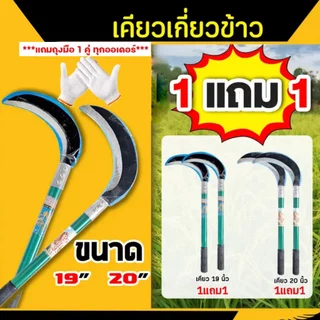 (1 ซื้อ 2) ซื้อ 1 แถม 1 เคียวข้าว + ถุงมือ 1 คู่ มีขนาด 19 นิ้ว 20 นิ้ว และ เคียวหัวขวาน เคียวหญ้า