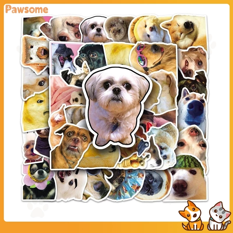 Pawsome Funny Dogs Animals สติ๊กเกอร์อุปกรณ์สัตว์เลี้ยง 5 ชิ้นสไตล์สุ่ม