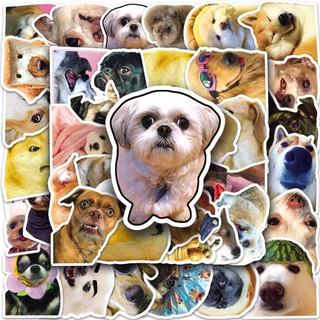 Pawsome Funny Dogs Animals สติ๊กเกอร์อุปกรณ์สัตว์เลี้ยง 5 ชิ้นสไตล์สุ่ม