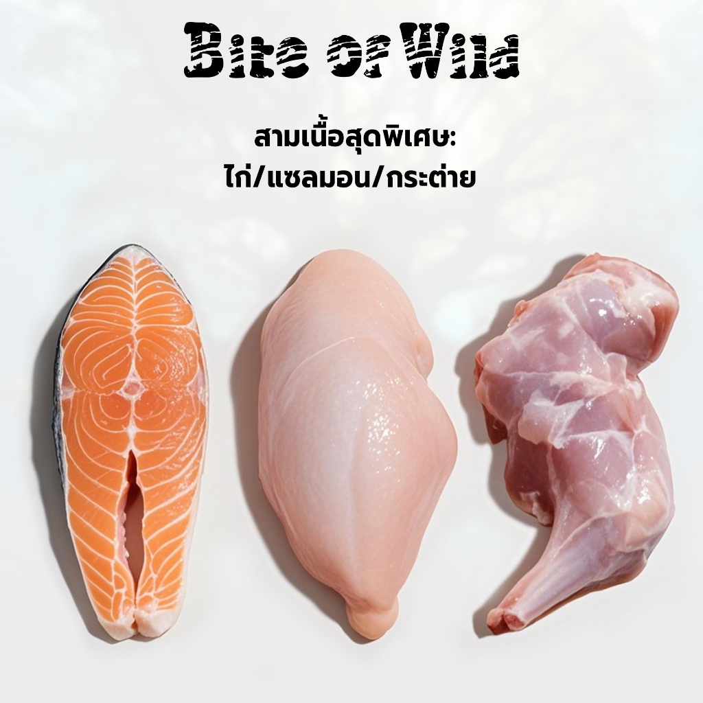 รูปภาพ 3