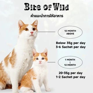 Bite Of Wild รสไก่และปลาแซลมอน ขนมแมวเลีย 60 กรัม 2 แพ็ค โปรตีนสูงและโภชนาการสูง