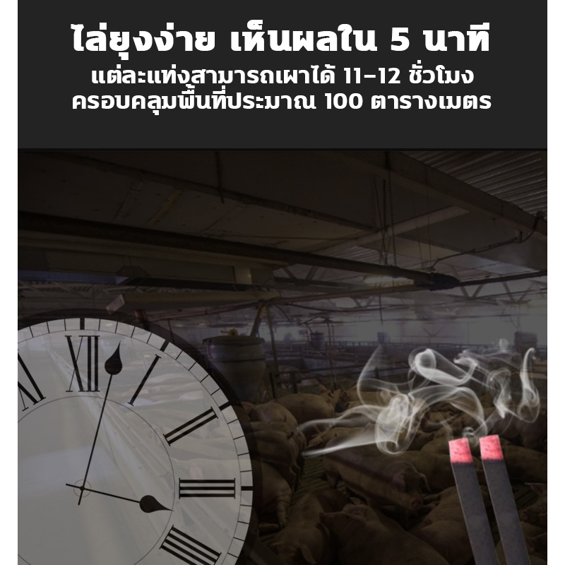 จัดส่งโดยตรงจากโรงงาน ยากันยุง ปลอดภัยสำหรับเด็กและสตรีมีครรภ์ ยาจุดกันยุง1.2เมตร20แท่ง ธูปไล่ยุง ธูปจัมโบ้ตะใครัไล่ยุง - รูปที่ 3