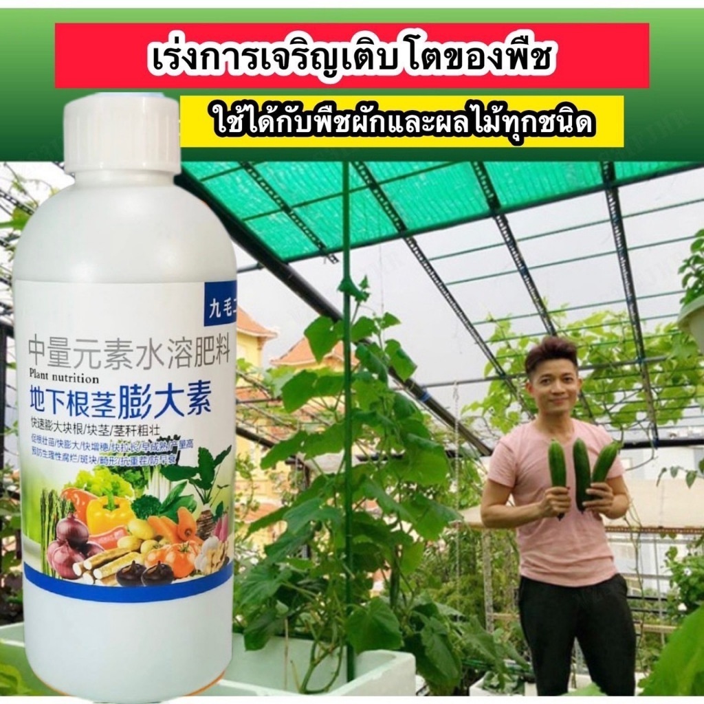 ฮอร์โมนผัก เร่งฮอร์โมน เร่งปุ๋ย เพิ่มผลผลิต แบรนด์บํารุง