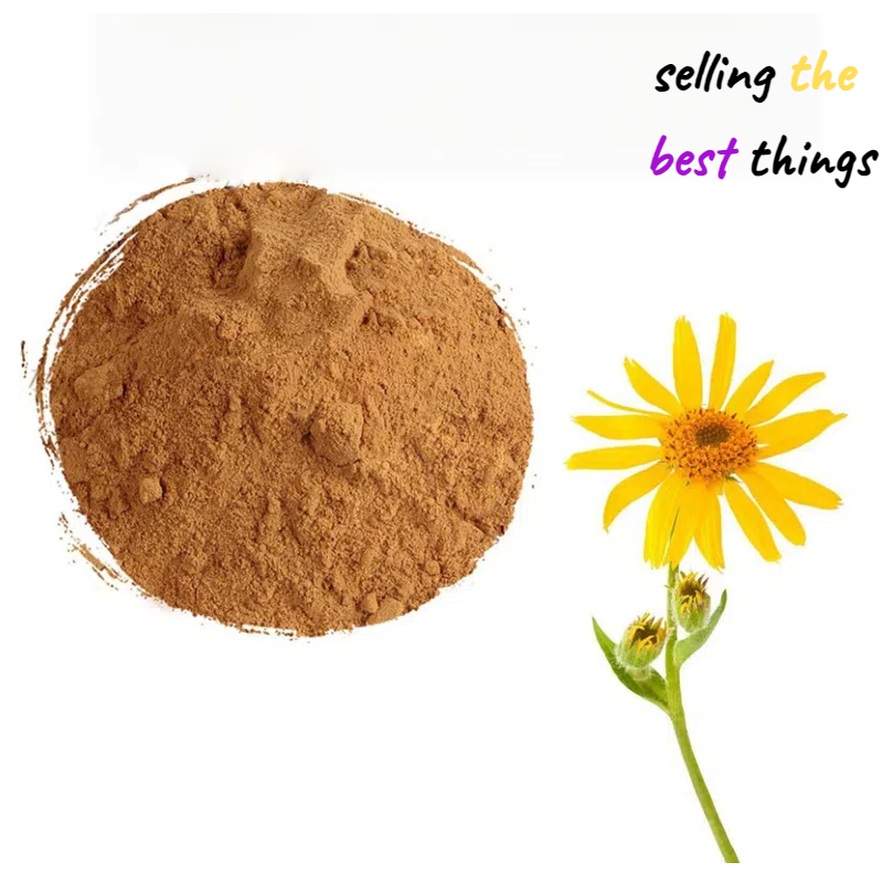 สารสกัดดอกไม้ Arnica Montana คุณภาพสูงสุด 10:1 ผงสารสกัด Arnica Montana