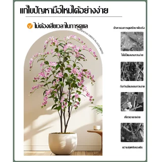 [50 ปีจางฟรี] ดอกไม้ประดิษฐ์ ต้นไม้ปลอม ต้นไม้ปลอมใหญ่ 90/120/160 ซม. องศาประดิษฐ์ 99% เหมาะสําหรับตกแต่งบ้านและสว