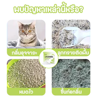 ดับกลิ่นทรายแมว😻100g ดูดซับกลิ่นแมว 99% ดูดซับความชื้น-ยับยั้งแบคทีเรีย ปลอดภัยต่อแมว แมวสุขสบาย