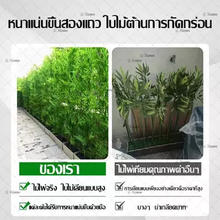【 ความจำลอง 99% มีคุณภาพ!! 】ต้นไผ่ ต้นไม้ปลอม ต้นไม้ปลอมใหญ่ 120/150/180cm โดนแดด โดนฝน สีไม่ซีดจา