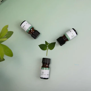 NAMSTE กลิ่นโรงแรมหรู 5/10ML น้ำมันหอมระเหย น้ำหอมอโรม่า Perfume Aroma Essential น้ำมันหอม