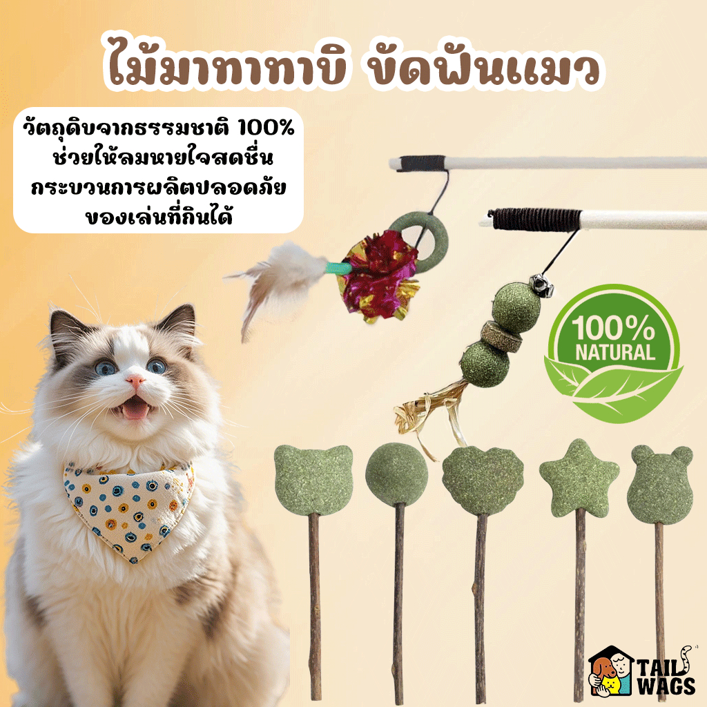 PETLUSCI MATABI Stick เครื่องทําความสะอาดฟันแมว 10 ชนิด ลดคราบหินปูน แท่งแมวเมาและของเล่นแมว