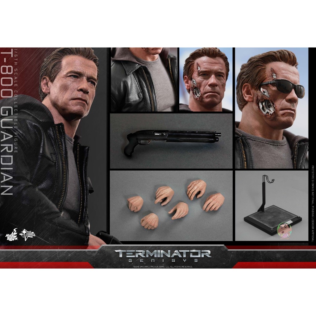Hot Toys MMS307 Terminator : Genisys – T:800 Guardian 1/6th Scale Collectible Figure