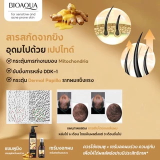 BIOAOUA เซรั่มขิงลดผมร่วง ปลูกผม เร่งผมยาว บำรุงหนังศีรษะและราก Anti-Hair Loss Serum 50ml