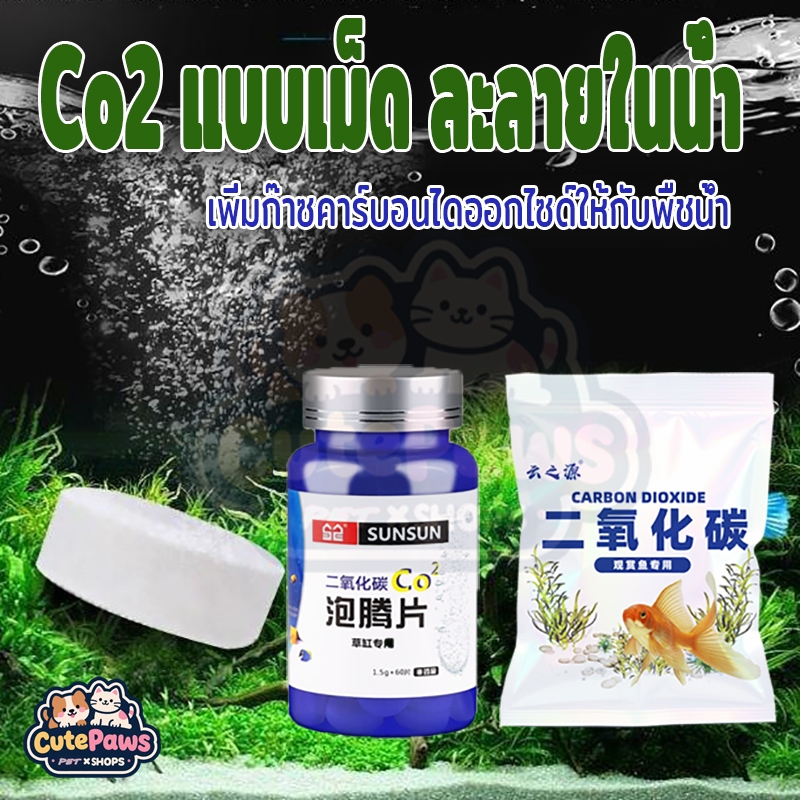Co2 แบบเม็ด ละลายในน้ำ เพิ่มก๊าซคาร์บอนไดออกไซด์ให้กับพืชน้ำ ช่วยให้พืชน้ำเจริญเติบโตได้ดี 1 ซอง  คาร์บอนไดออกไซด์บริสุทธ์ 99%