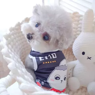 【พร้อมส่ง】เสื้อผ้าสัตว์เลี้ยงยืดเสื้อกั๊กระบายอากาศฤดูร้อนน่ารักสบายบางแมวและสุนัขสากล XS - XL