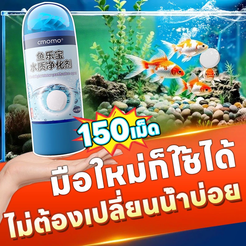 💦มือใหม่ก็ใช้ได้💦 Leno น้ำยาปรับสภาพน้ำ จุลินทรีย์บ่อปลา ลดกลิ่น ทำน้ำใส ลดตะไคร่ ขี้ปลา ปลาแข็งแรง น้ำยาปรับสภาพน้ำตู้ปลา จุลินทรีย์ตู้ปลา