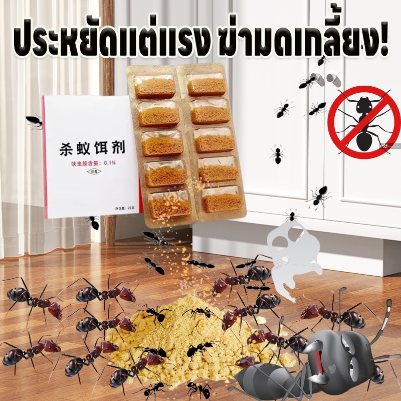 🐜 หมดปัญหามดรบกวนในบ้าน! ตายยกรัง 100% เหยื่อมด ยาฆ่ามด กำจัดมด  ฆ่ามด ปลอดภัยต่อคนและสัตว์เลี้ยง ใช้งานง่าย เห็นผลเร็ว เหมาะกับมดทุกสายพันธุ์ 10 ชิ้น/กล่อง