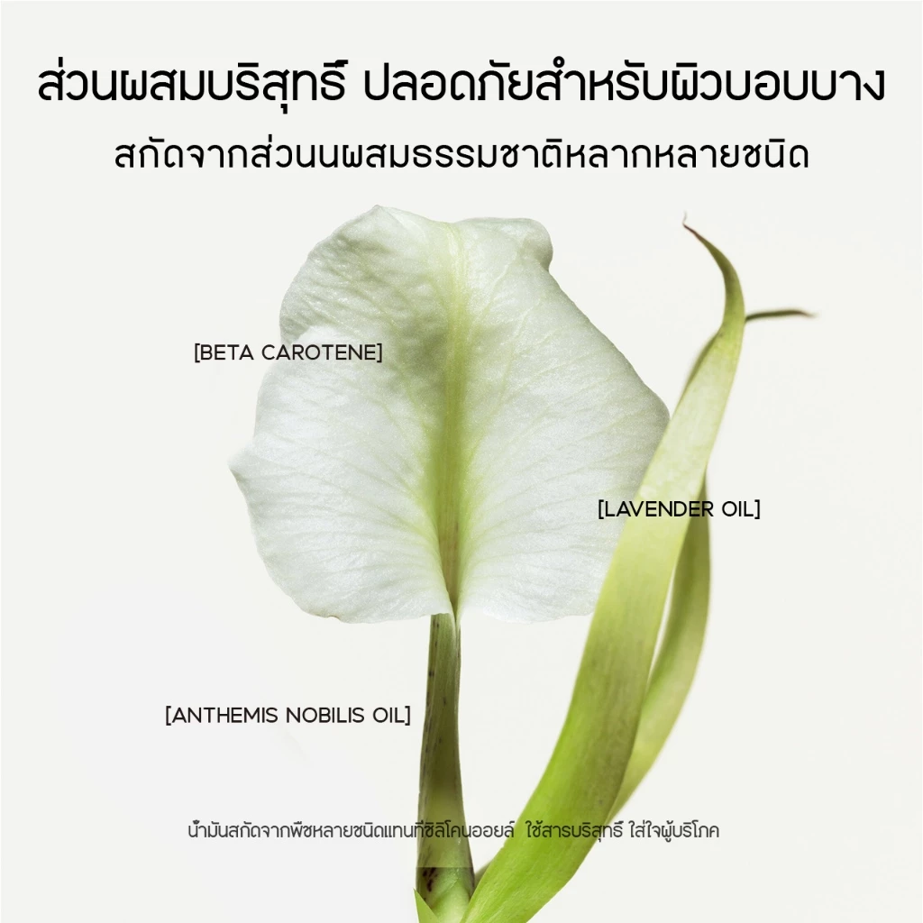 RED CHAMBER HARUKI Multi-Purpose Cream ครีมเอนกประสงค์ thumbnail 9