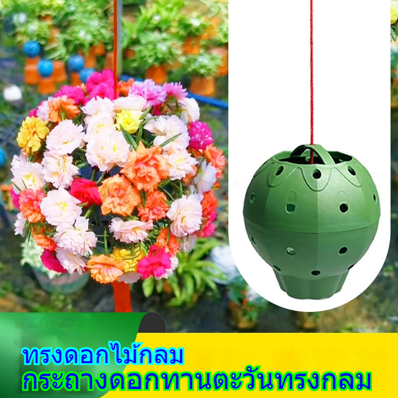 กระถางพลาสติกทรงกลมรูพรุน แบบสร้างสรรค์สำหรับปักชำดอกทานตะวันในร่ม ใช้ปลูกต้นกระบองเพชร ต้นเฟรินส์ และต้นพีออนี่แบบแขวน