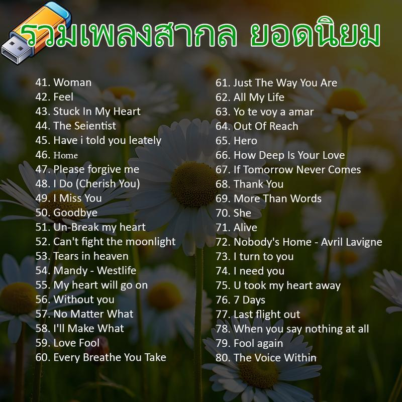 แฟลชไดรฟ์ USB MP3 รวมเพลงสากลฮิตยอดนิยม - รูปที่ 2