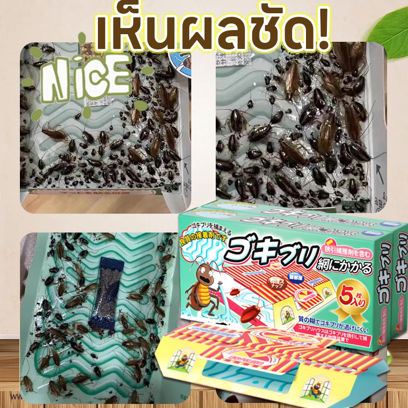 🚚ส่งจากกรุงเทพฯ📦ดักแมลงสาบ ฆ่าแมลงสาบ เพียงคืนเดียวสามารถฆ่าแมลงสาบได้ บ้านแมลงสาบ ยาแมลงสาบ