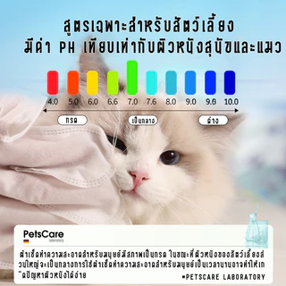 ถุงมืออาบน้ําสุนัขแมว (6 ชิ้น/แพ็ค) ปราศจากแอลกอฮอล์ไม่เป็นอันตรายต่อสัตว์เลี้ยง ไม่ล้าง สะดวกรวดเร็ว