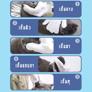ถุงมืออาบน้ําสุนัขแมว (6 ชิ้น/แพ็ค) ปราศจากแอลกอฮอล์ไม่เป็นอันตรายต่อสัตว์เลี้ยง ไม่ล้าง สะดวกรวดเร็ว