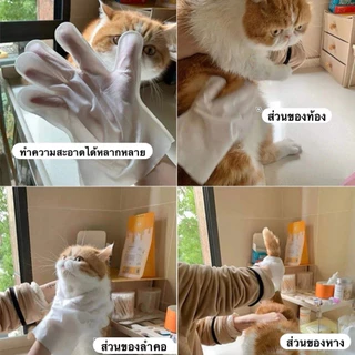 ถุงมืออาบน้ําสุนัขแมว (6 ชิ้น/แพ็ค) ปราศจากแอลกอฮอล์ไม่เป็นอันตรายต่อสัตว์เลี้ยง ไม่ล้าง สะดวกรวดเร็ว