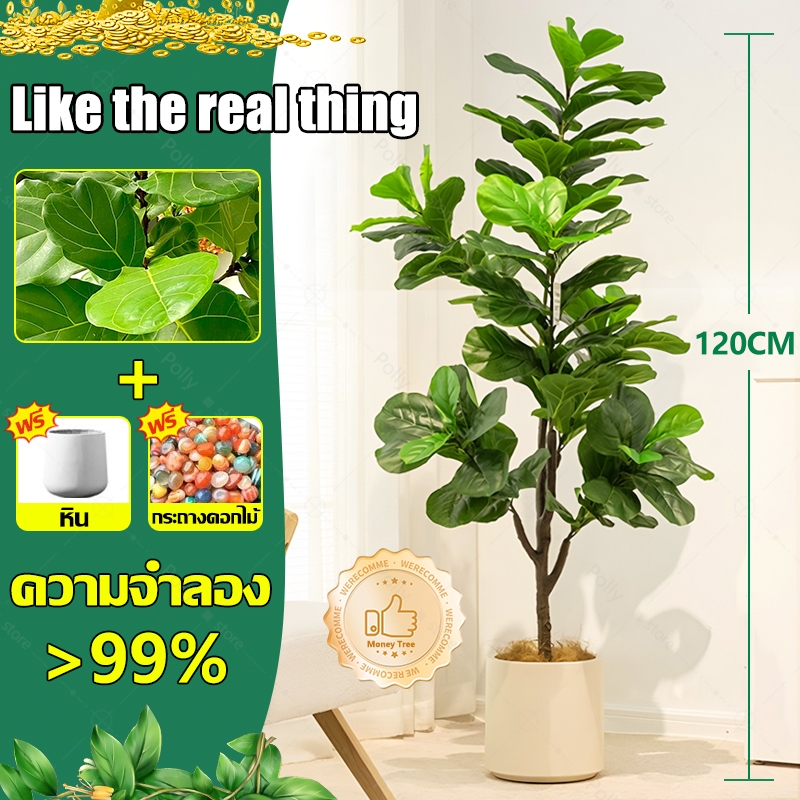 ต้นไม้ปลอม🏡ฟรี กระถาง☘️ต้นไทรใบสัก ความจำลอง 99% ต้นไม้ปลอมใหญ่ สูง120/150ซม 47ใบ ต้นไม้แต่งห้อง ต้นไม้เงิน ต้นไม้เทียม