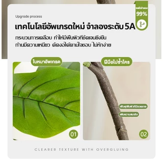 ต้นไม้ปลอม🏡ฟรี กระถาง☘️ต้นไทรใบสัก ความจำลอง 99% ต้นไม้ปลอมใหญ่ สูง120/150ซม 47ใบ ต้นไม้แต่งห้อง ต้นไม้เงิน ต้นไม้เทียม