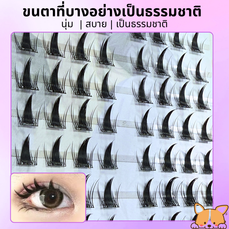 รูปภาพ 5