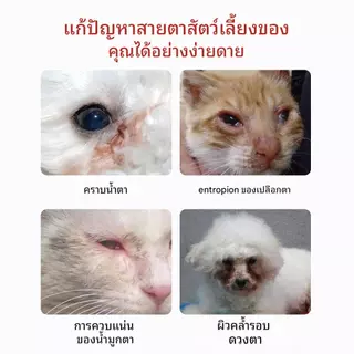 GJYC PET ครีมขจัดคราบน้ำตาสัตว์เลี้ยง ทำความสะอาดต่อมน้ำตา สกัดจากพืชบริสุทธิ์ ไม่ระคายเคือง เหมาะสำหรับแมวและสุนัข