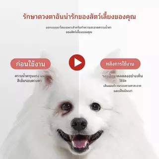 GJYC PET ครีมขจัดคราบน้ำตาสัตว์เลี้ยง ทำความสะอาดต่อมน้ำตา สกัดจากพืชบริสุทธิ์ ไม่ระคายเคือง เหมาะสำหรับแมวและสุนัข