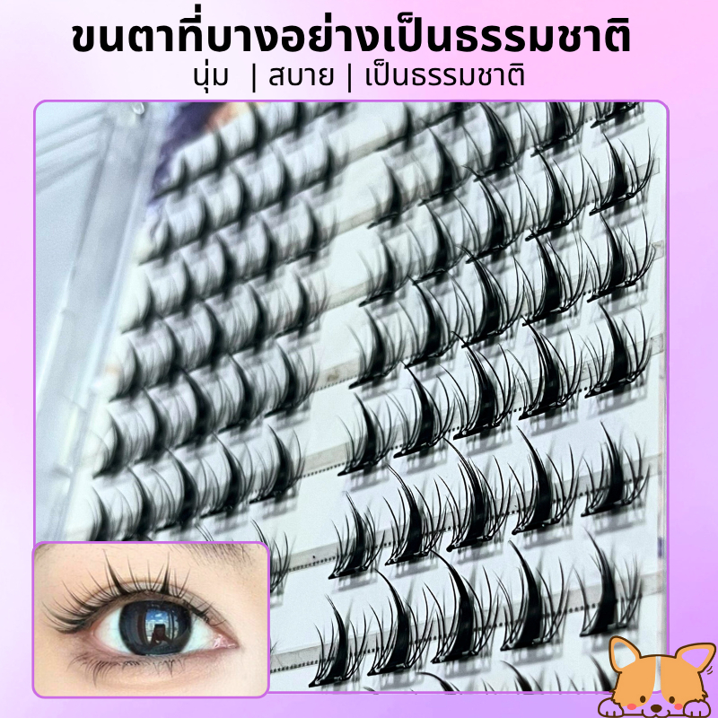 รูปภาพ 3