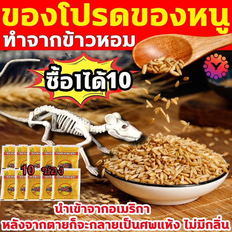ยาเบื่อหนู ของแท้ 100% ตายแห้ง ไม่เหม็น ใช้ครั้งเดียว ไม่มีหนูทั้งปี ยากำจัดหนู เหยื่อกำจัด ไล่ ยาเบื่อแห้ง