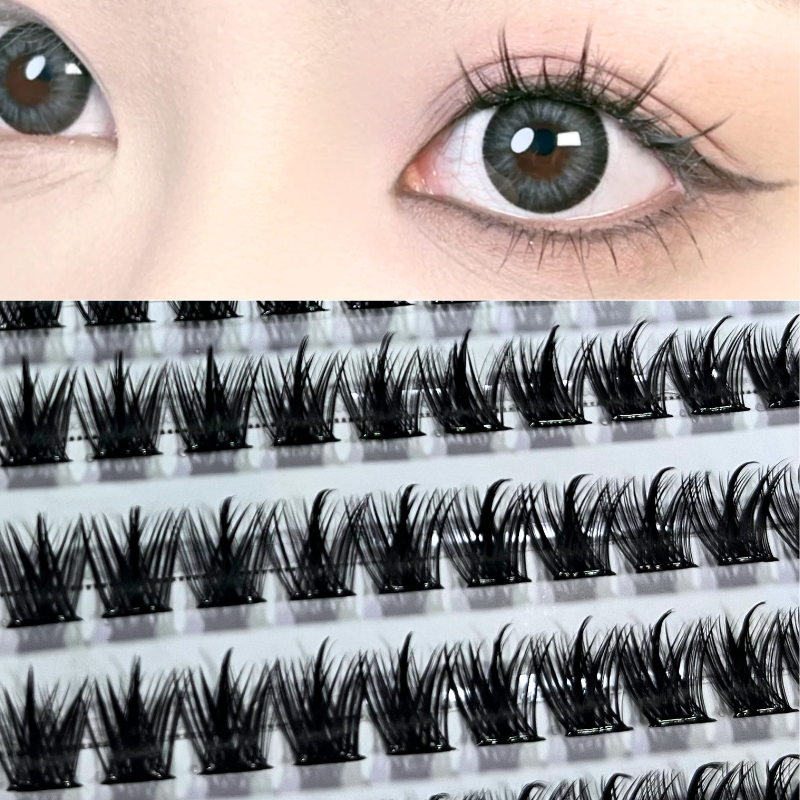 รูปภาพ 7