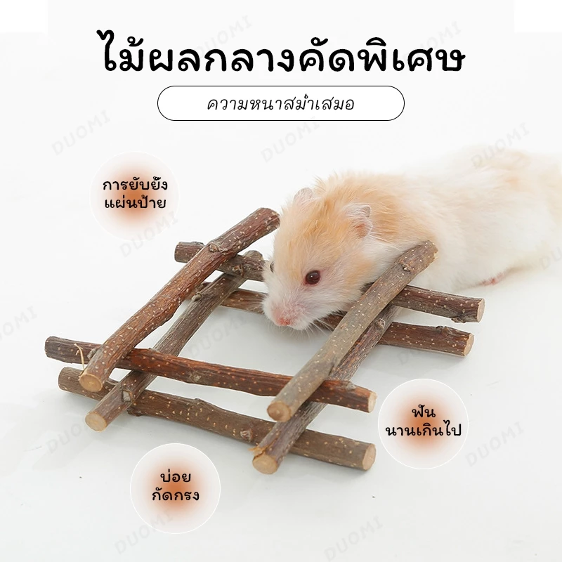 [สินค้าพร้อมส่ง + จัดส่งจากประเทศไทย]หนูแฮมสเตอร์กัดแทะเพื่อเลือกสินค้า แอปเปิ้ล สาขา ข้าวโพด ขนม คุกกี้ แกสบี้ กระรอก กระต่าย โภชนาการ ขนม thumbnail 6