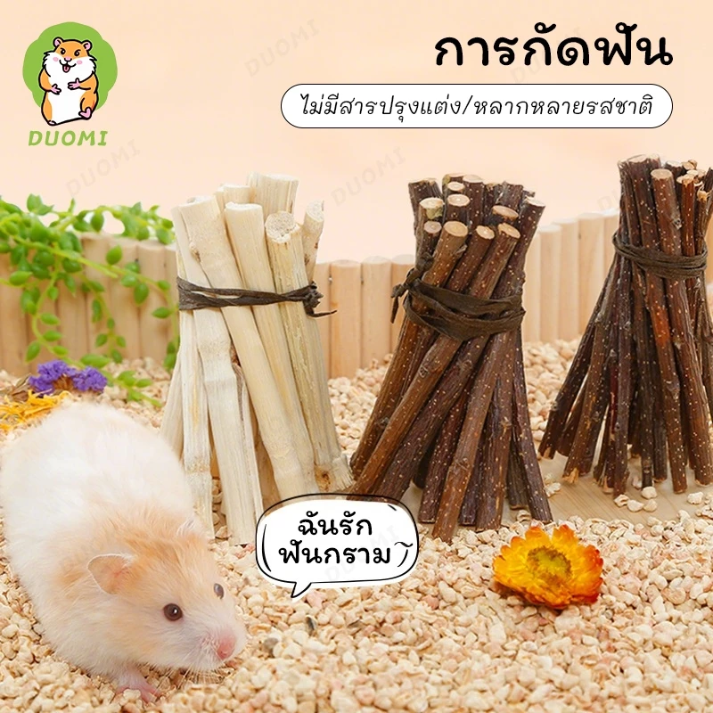 [สินค้าพร้อมส่ง + จัดส่งจากประเทศไทย]หนูแฮมสเตอร์กัดแทะเพื่อเลือกสินค้า แอปเปิ้ล สาขา ข้าวโพด ขนม คุกกี้ แกสบี้ กระรอก กระต่าย โภชนาการ ขนม